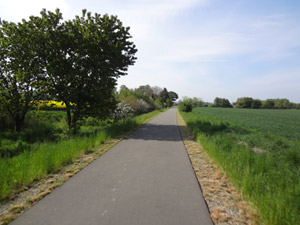 Bollstedt