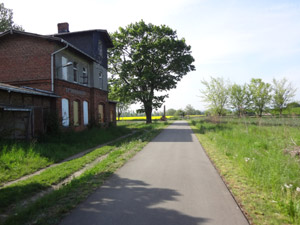 Bollstedt
