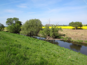Unstrut Bollstedt