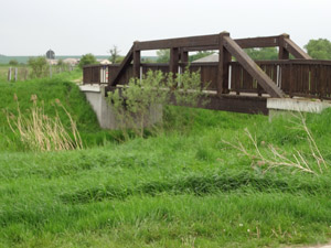 Büchel