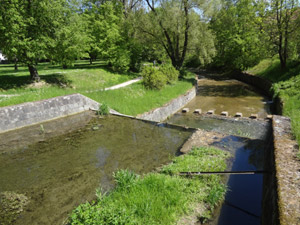 Dingelstädt