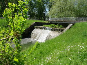 Dingelstädt
