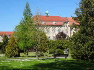Dingelstädt