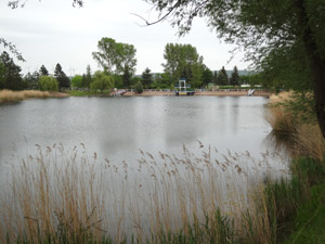 Naturschwimmbad Heldrungen
