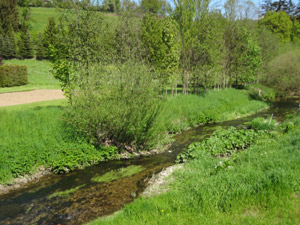 Helmsdorf