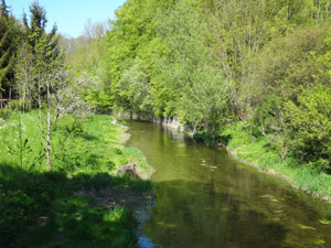 Helmsdorf