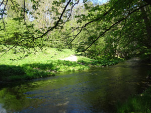 Reisersches Tal