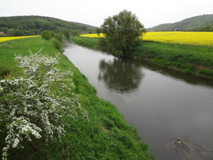Thüringer Pforte
