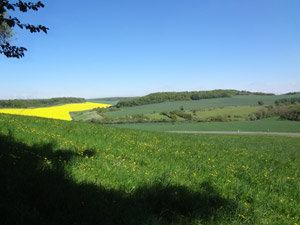 Unstrut-Leine-Radweg