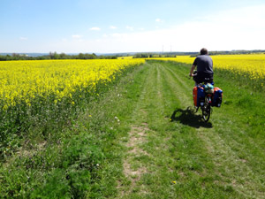 Unstrut-Leine-Radweg