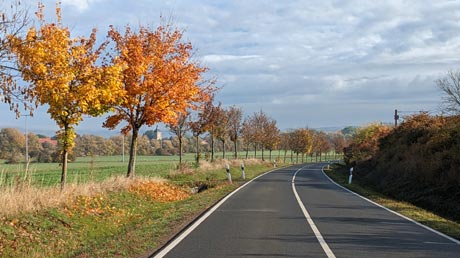 Landstraße nach Büchel