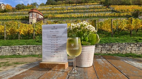 Herzoglicher Weinberg Freyburg Herzoglicher Weinberg Freyburg
