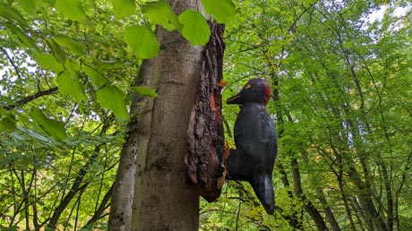 Unstrutradweg Reisersches Tal Unstrutradweg Reisersches Tal