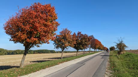 Weg vor Herbsleben