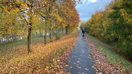 Unstrutradweg Leubingen-Büchel