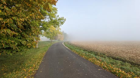 Unstrutradweg im Nebel