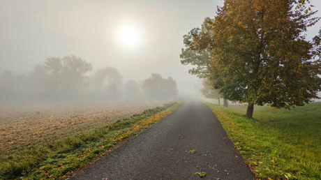 Unstrutradweg im Nebel