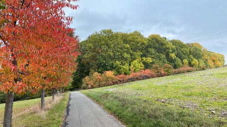 Unstrutradweg Silberhausen Unstrutradweg Silberhausen
