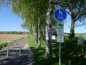 Abzweig Rote Route Hainich