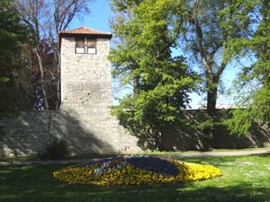 Stadtmauer mit Turm in Mühlhausen