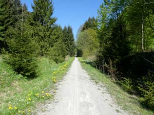 Unstrut-Werra-Radweg