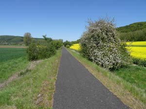 Werratal-Radweg