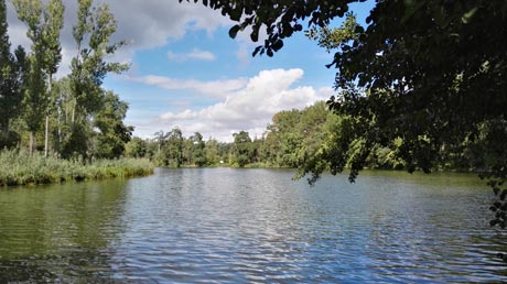 Wipper-Saale-Mndung Bernburg