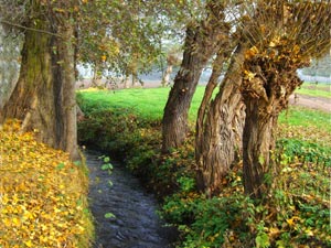 Herbst an der Wipper