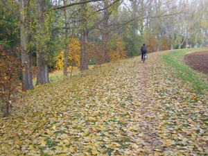 Wipperradweg