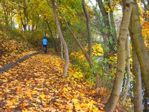 auf dem Wipper-Radweg