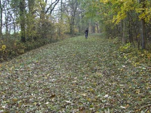 Waldweg