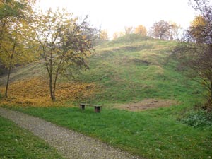 Waldweg zwischen Klein Schierstedt und Giersleben