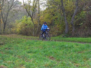 Waldweg zwischen Klein Schierstedt und Giersleben